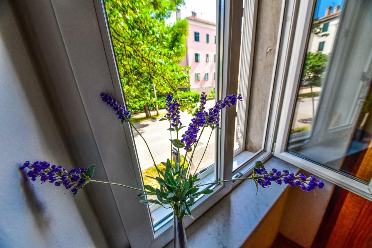 Apartment Viola Zadar Eksteriør bilde